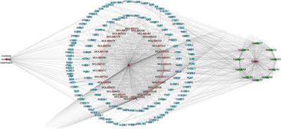 Gene Network Mechanism of Zhilong Huoxue Tongyu Capsule in Treating Cerebral Ischemia–Reperfusion